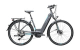 Electric bicycle Montreal Gepida Bonum Edge Quantum eBikes
